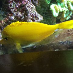 IMG 047